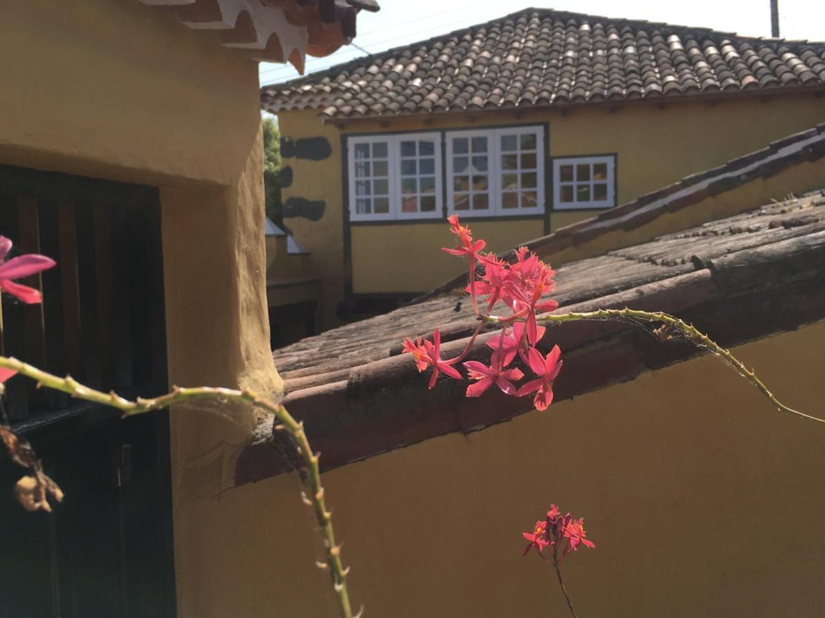 Casa Rural La Ganania Pensionat Los Realejos Eksteriør billede